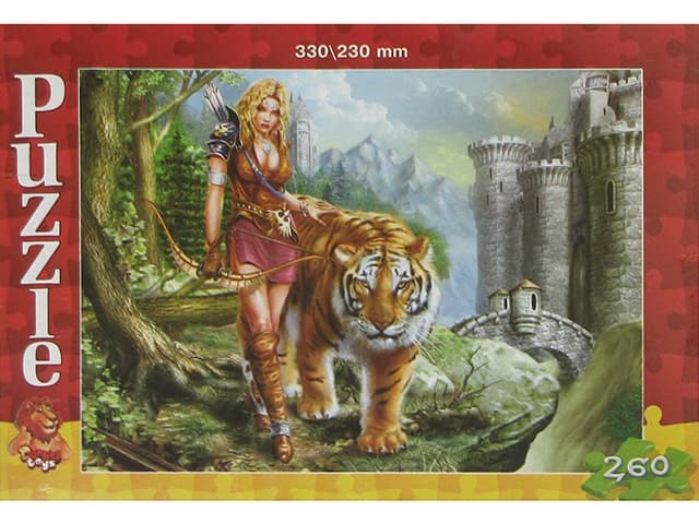Пазли Danko Toys 0457 260 елементів