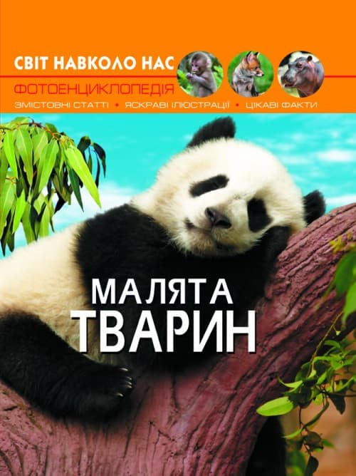 Книга А4 Мир вокруг нас. Малыши животных твердая обложка Бао (10) 9499