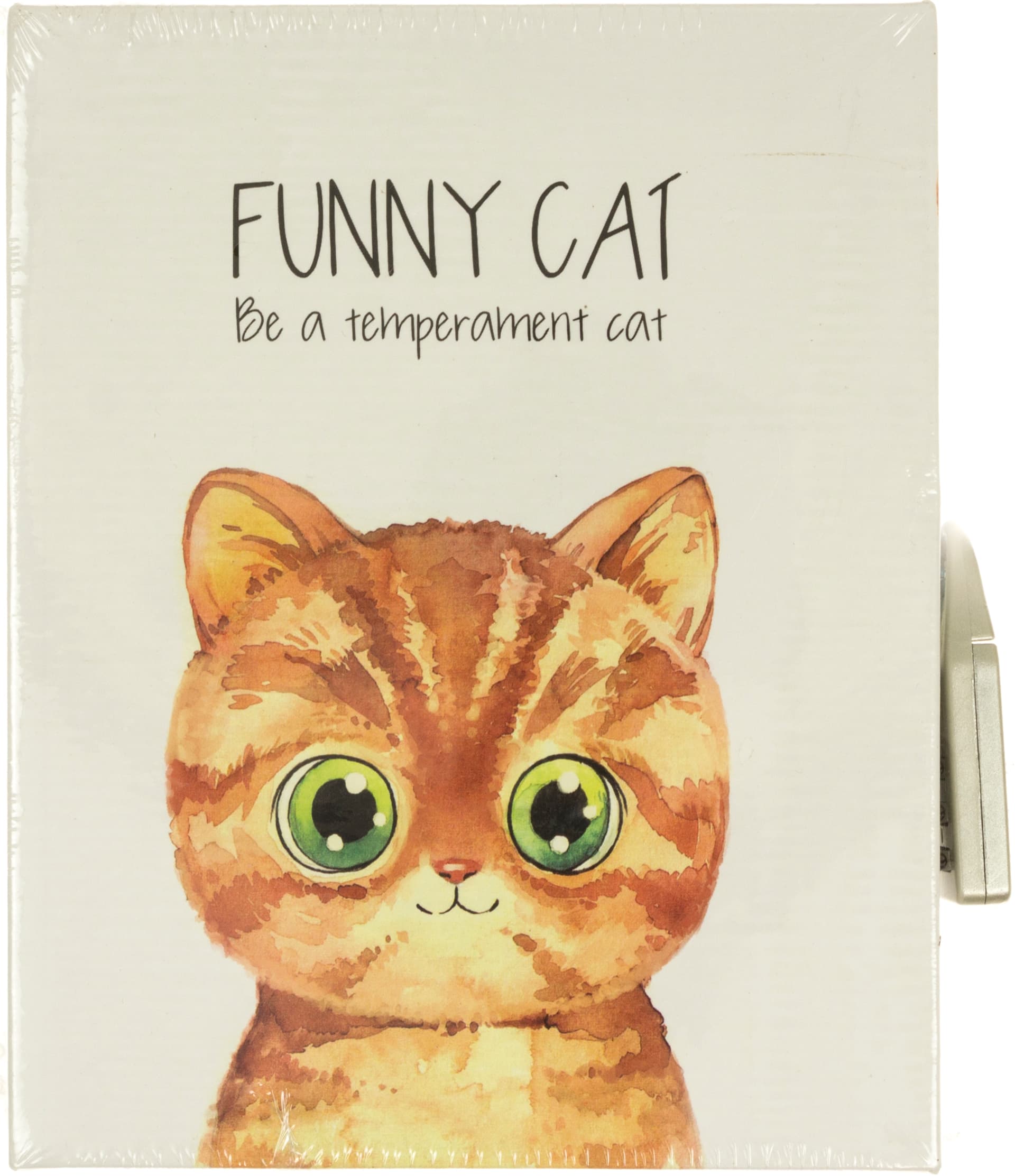 Блокнот на замку Funny cat A6 64 аркуші в коробці (96) DSCN4091