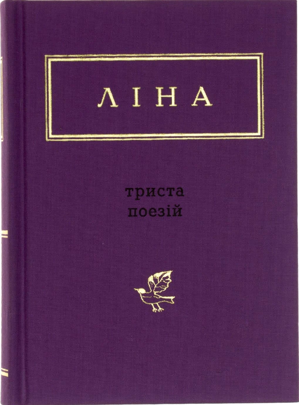 Книга А5  300 стихов  Костенко Лина   Яблоко   