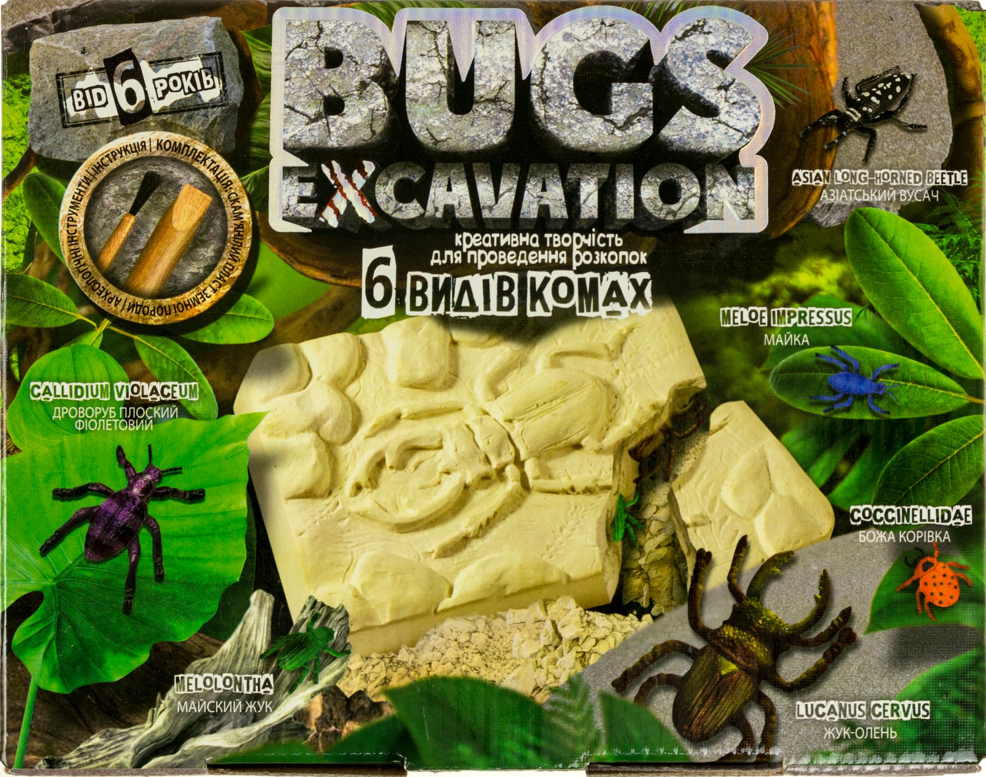 Набір для проведення розкопок DankoToys Bugs excavation жуки українською (6) №BEX-01-05U,06U  