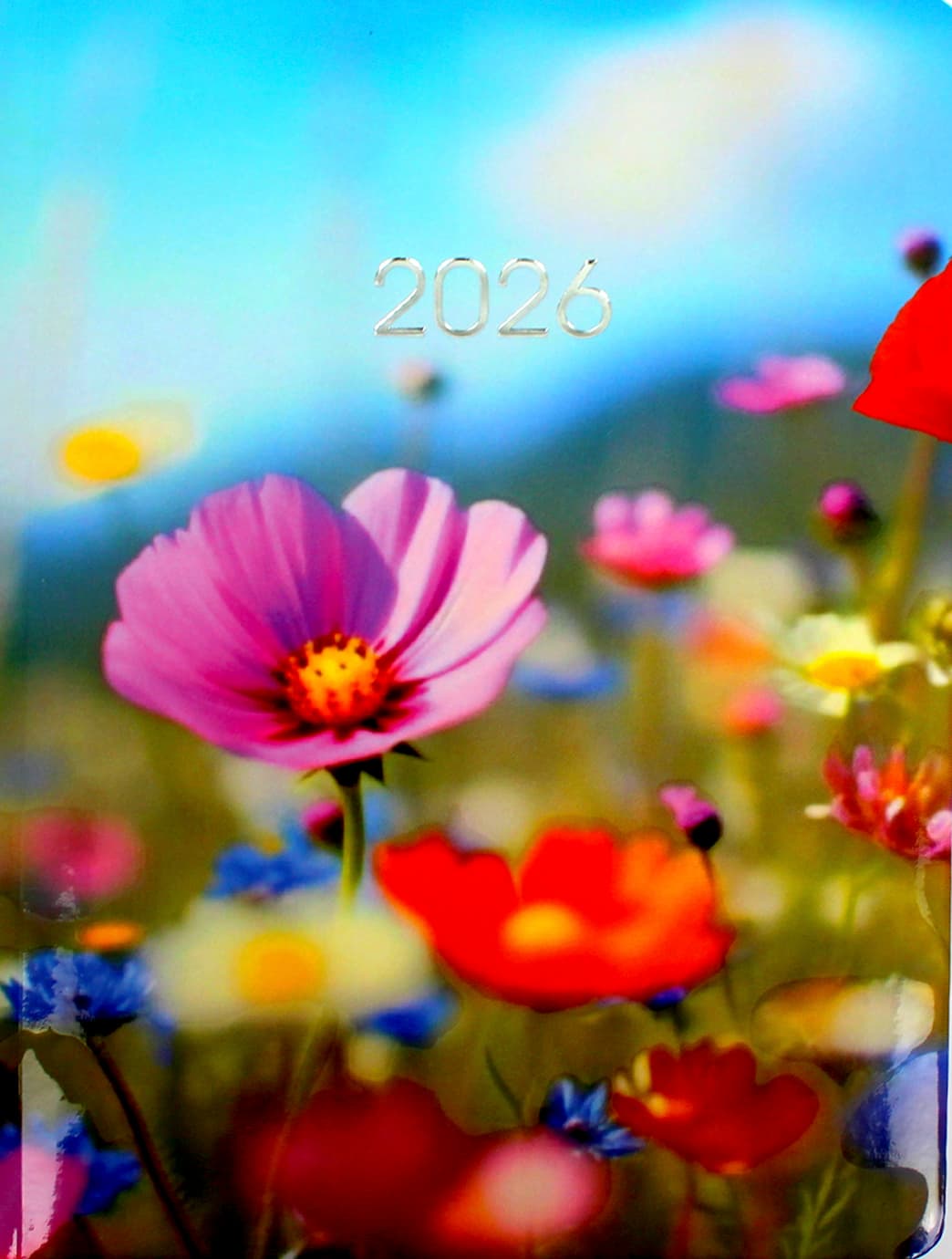Щоден. А5 "Economix" дат2026 №E21864(20)