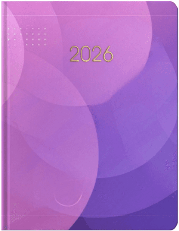 Щоден. А5 "Economix" дат2027 №E21857(20)