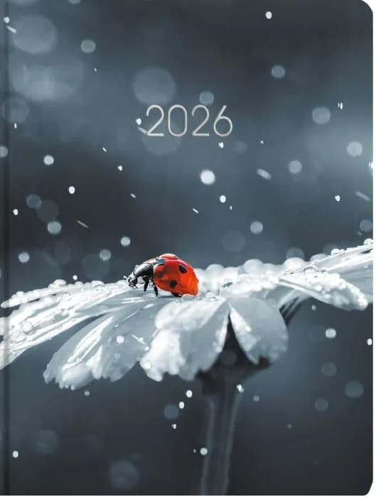 Щоден. А5 "Economix" дат2026 №E21899(20)