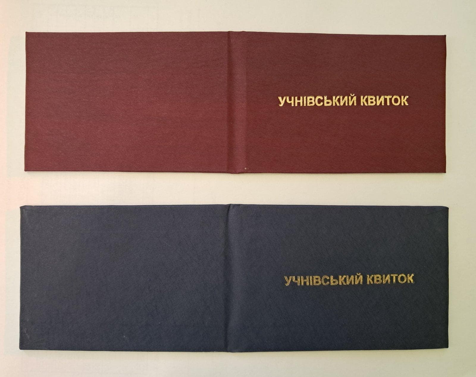 Учнівський квиток (1) (50)