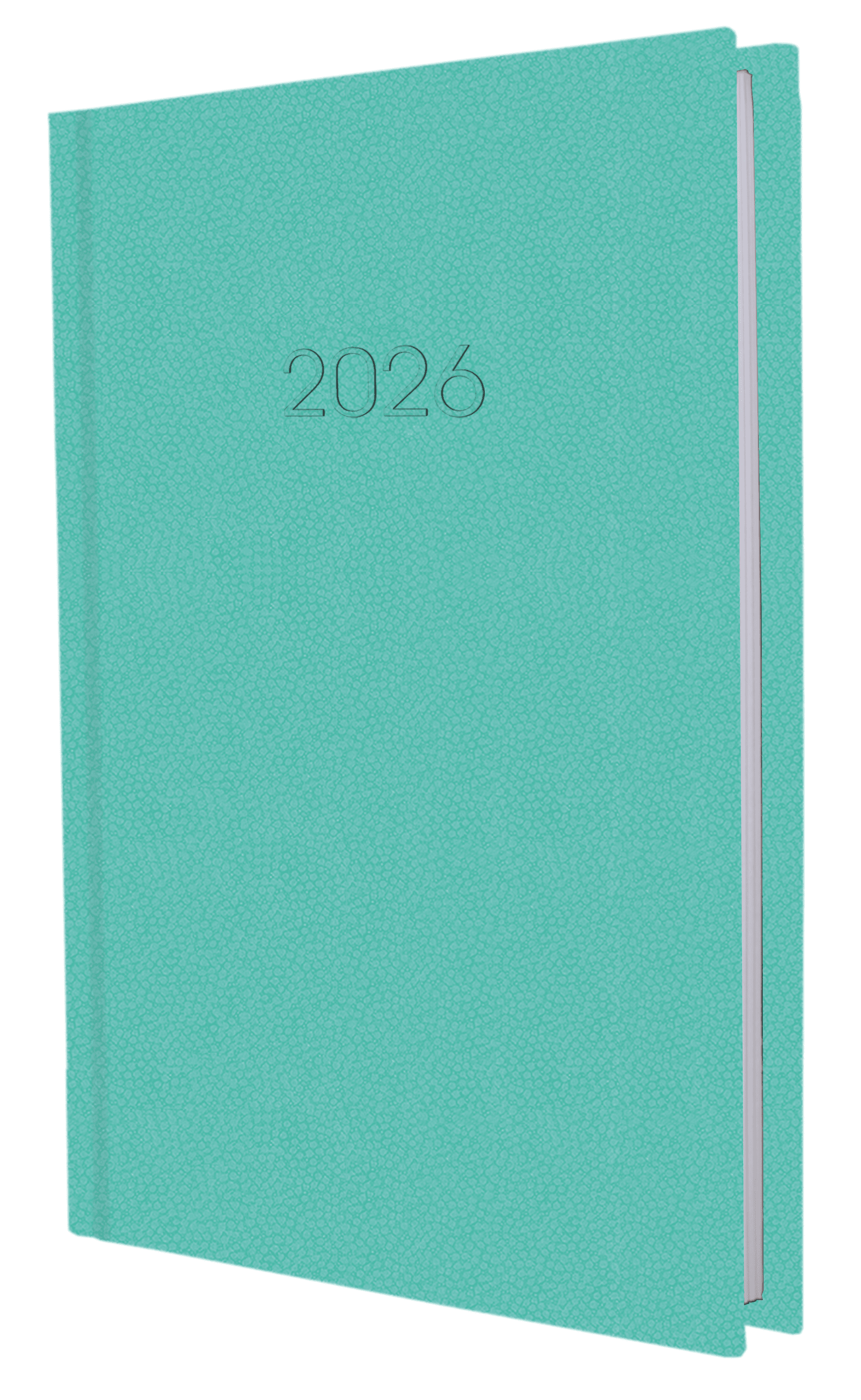 Щоденник A5 Economix датований 2025 Confetti бірюзовий E21613-21  