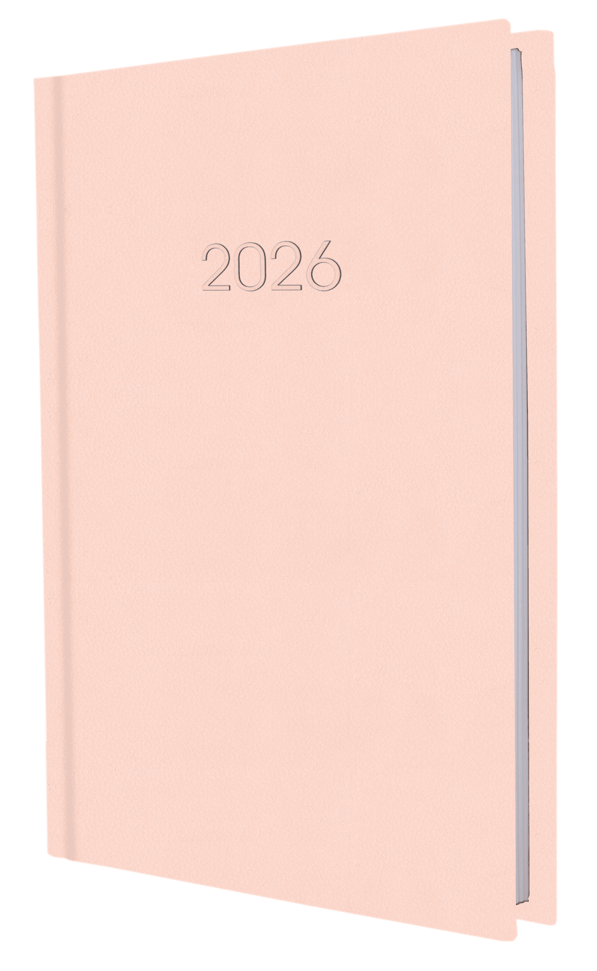 Щоденник A5 Economix датований 2025 Confetti рожевий E21613-09  