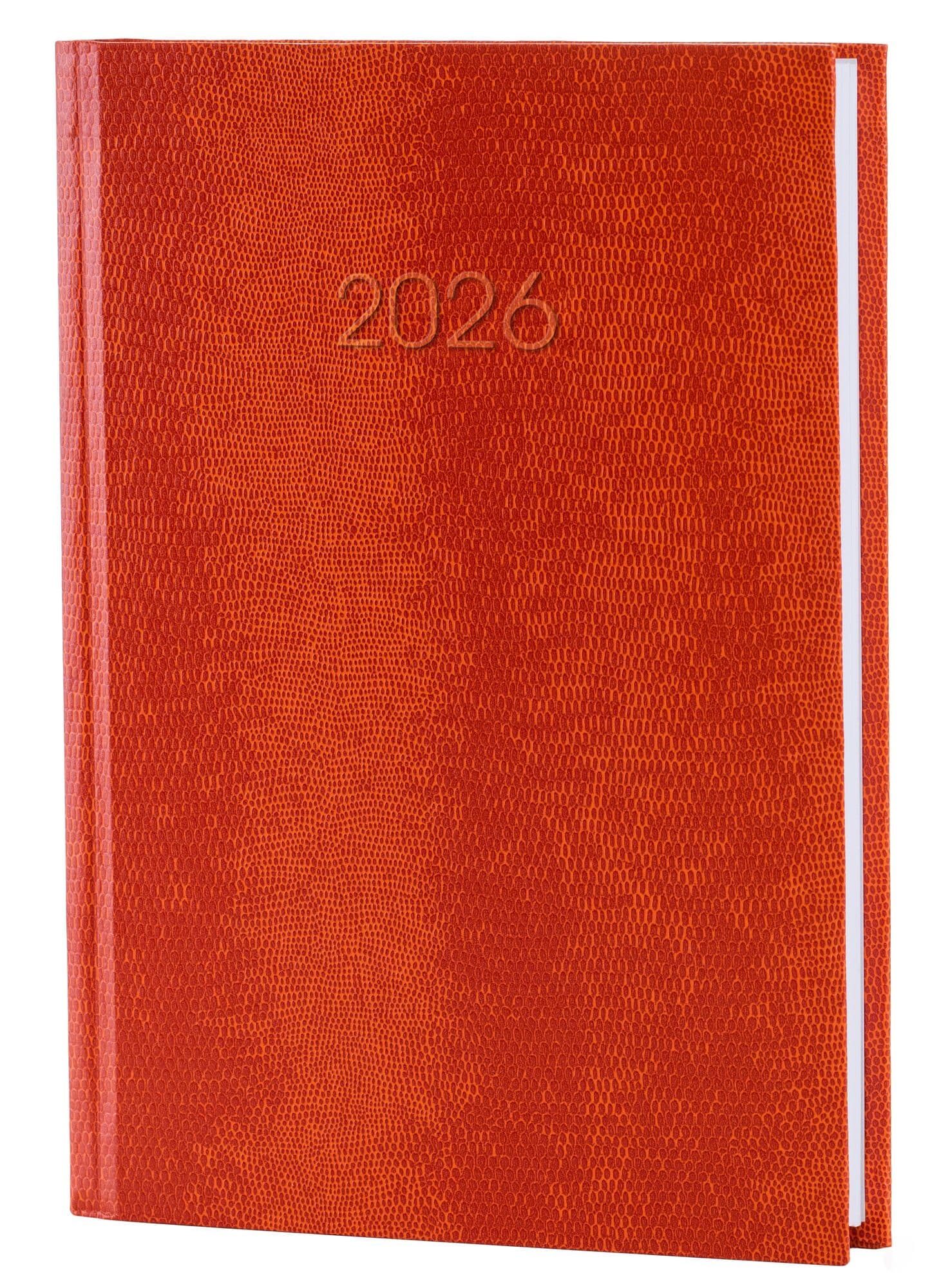Щоден. А5 "Economix" дат2026 Snake(змія) помаранчевий №E21633-06(20)