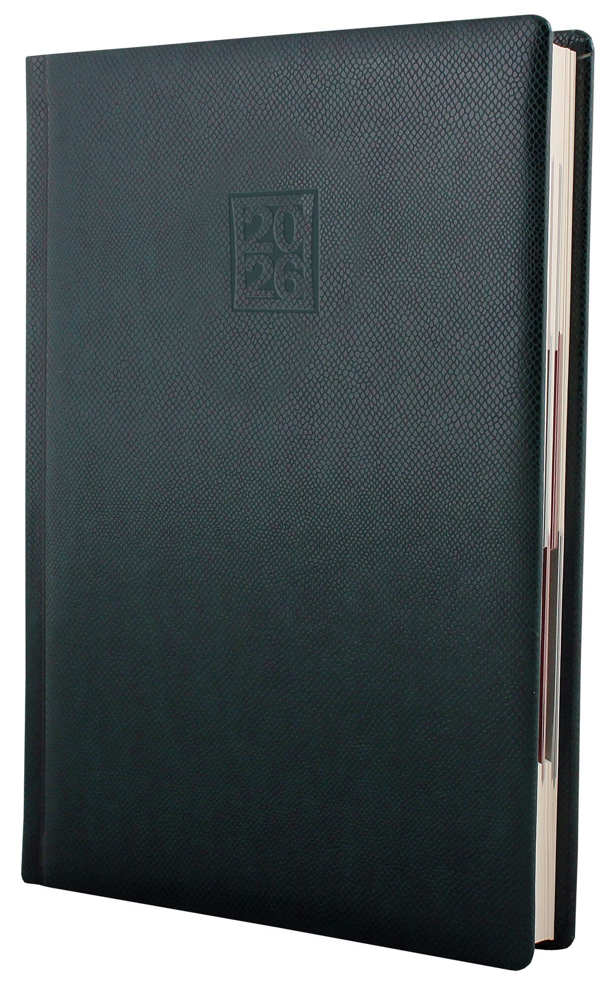 Щоденник А5 Optima датований 2025 Lizard зелений O25242-04