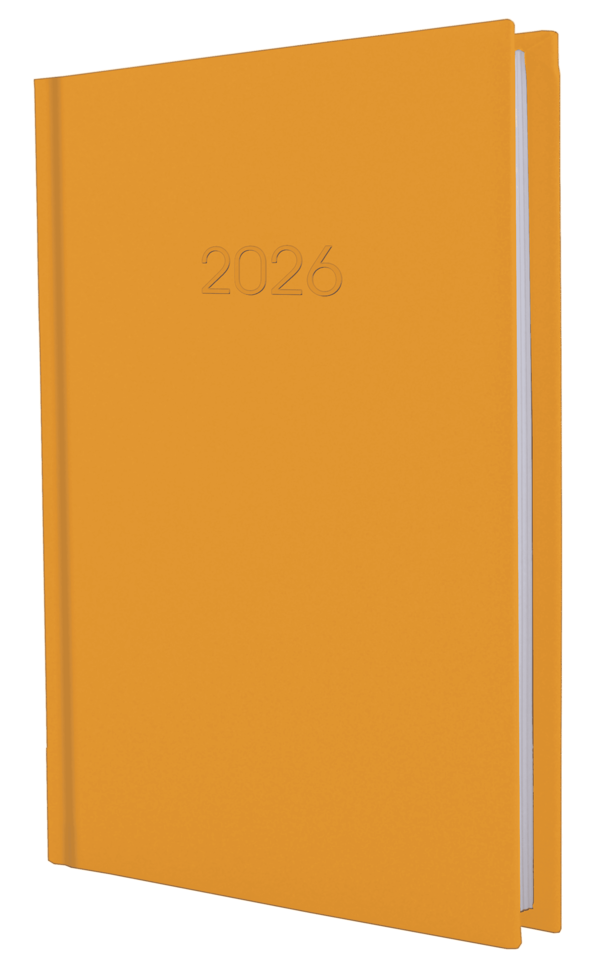 Щоден. А5 "Economix" дат2026 Satin помаранчевий №E21612-06(20)
