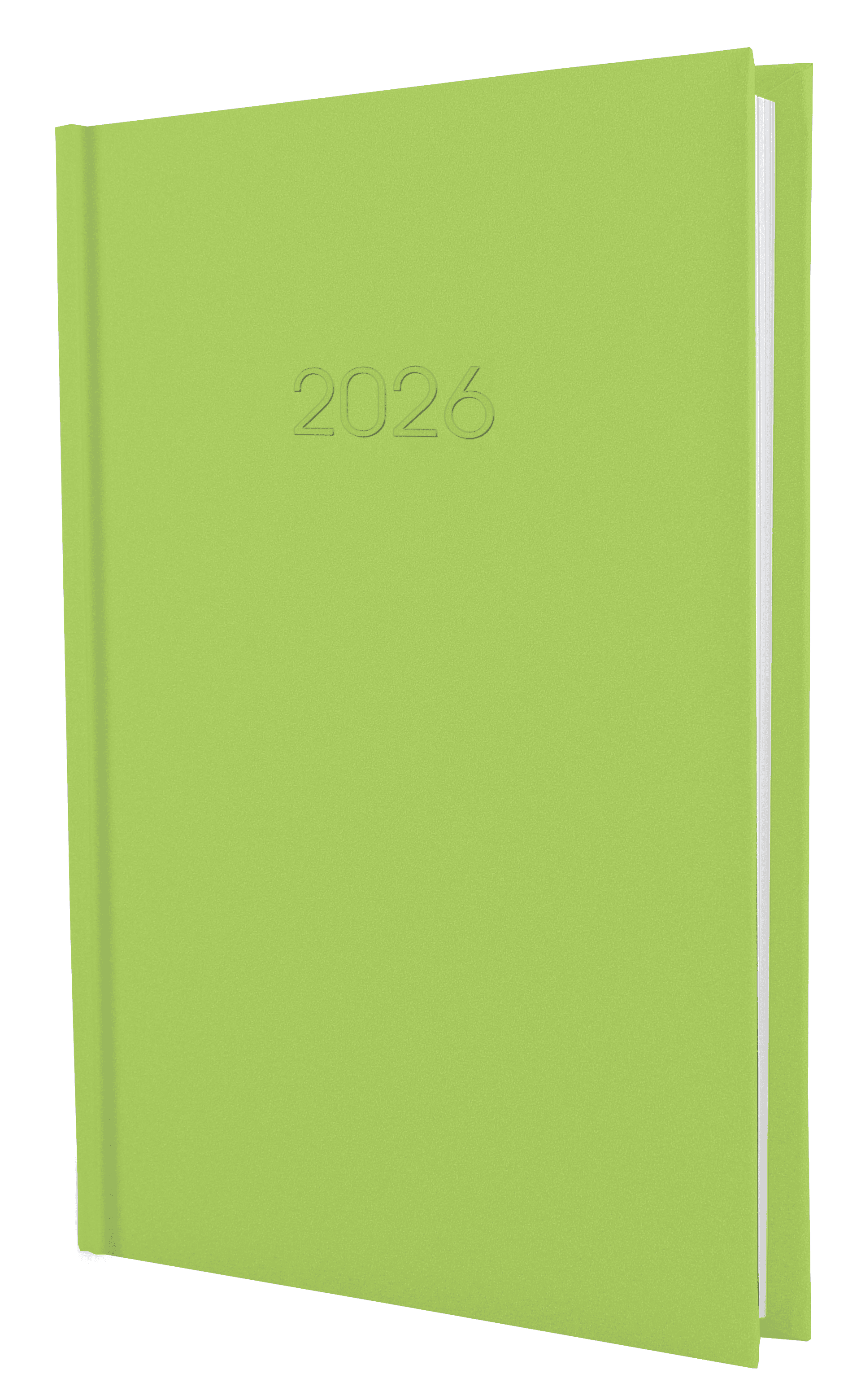 Щоденник A5 Economix датований 2025 Satin фісташковий №E21612-67 (20)
