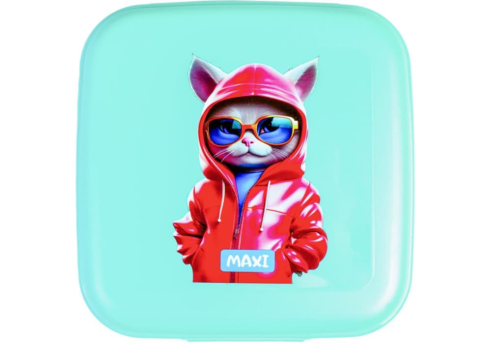 Ланч бокс пласт. "Maxi" 850мл мятный №MX98141(15)