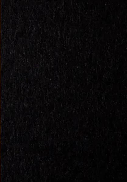 Бумага цветн. А4 80г/м тёмн. Maestro Mondi Coloured B100 Black (чёрный)(10)