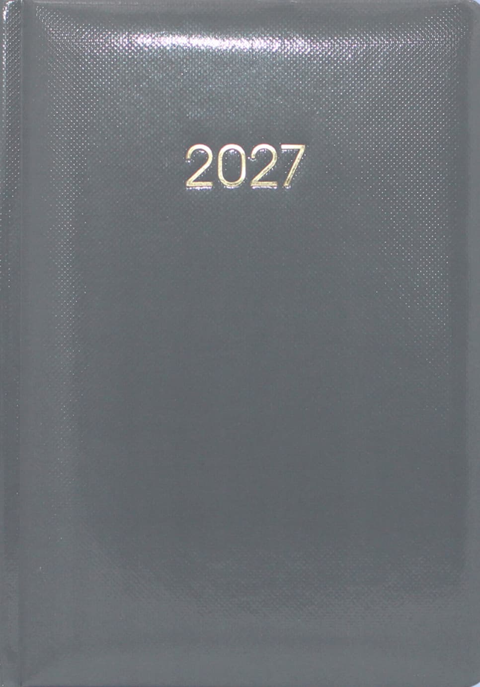 Щоденник A5 Economix датований 2027 Spectrum сірий №E21845