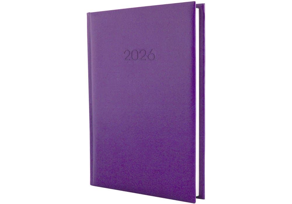Щоденник A5 Economix датований 2025 Principe бузковий №E21690-12 (20)