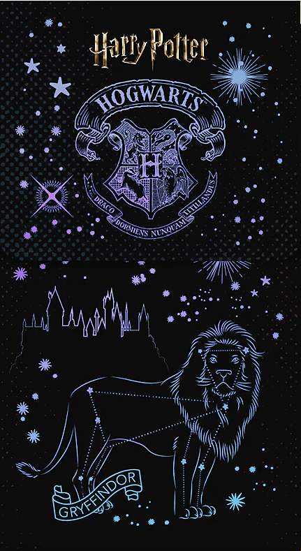 Блокнот А6 60арк. кліт. тв. обкл. на магніті "Harry Potter" №HP26-092/Kite/(10)