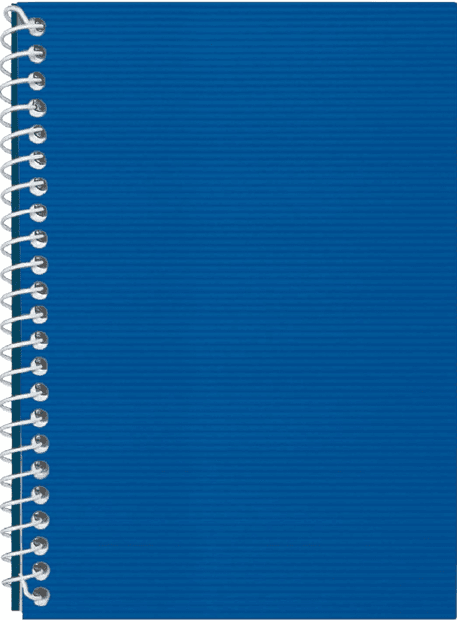 Блокнот пруж. бок. А5 48л. клет. пласт. обл.,синий №E20302-02/Economix/(1)(80)
