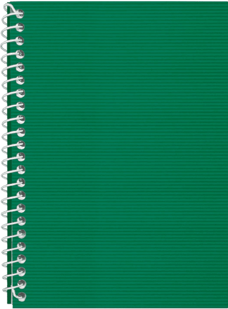 Блокнот пруж. бок. А5 48л. клет. пласт. обл.,зелёный №E20302-04/Economix/(1)(80)