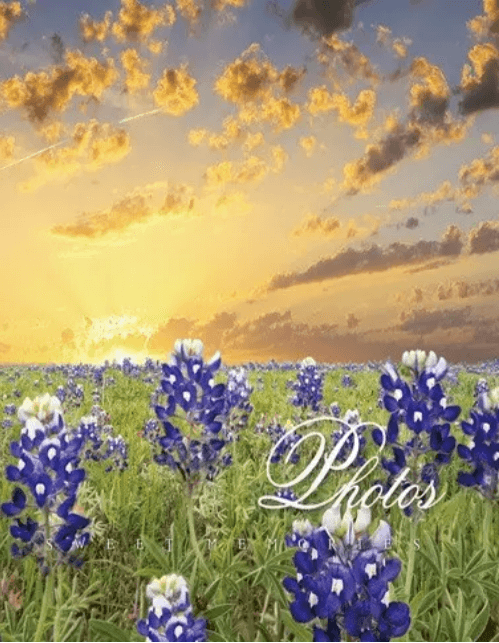 Фотоальбом "UFO" №PP-46200 10х15х200 Sunset field