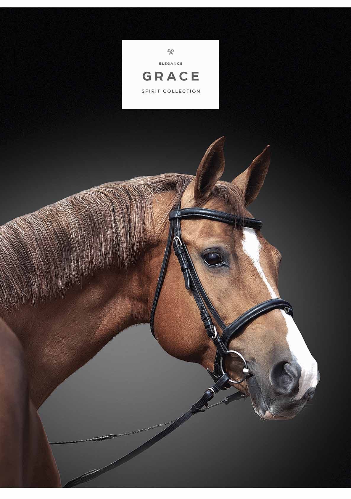 Зошит А4 40арк. кліт. карт. "Student" УФ лак №A4-040-5265K/Школярик/