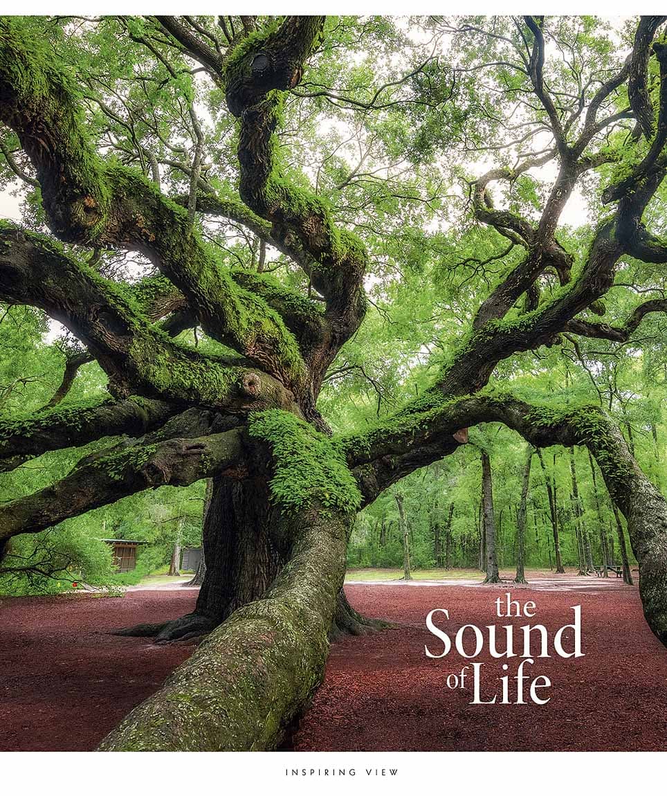 Тетрадь 96л. лин. Star "The Sound of life" УФ лак №096-3347L(5)(60)