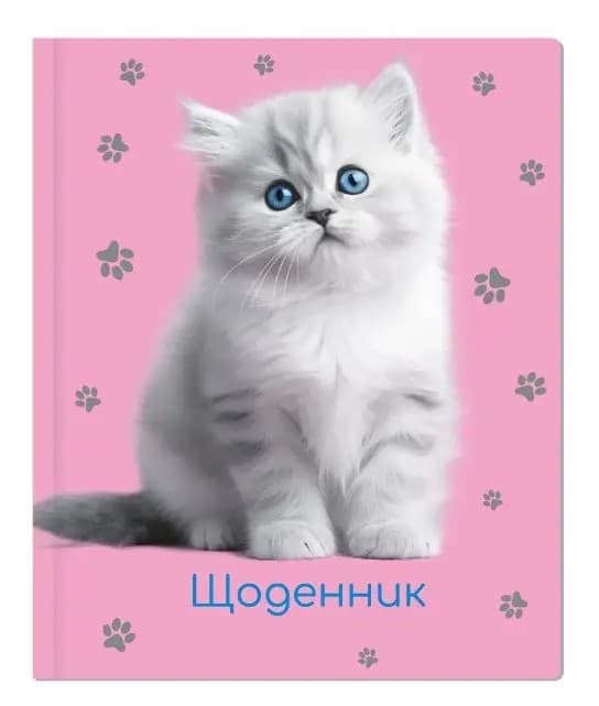 Щоденник шк. А5 "CoolForSchool" №MX29932-09 48арк
