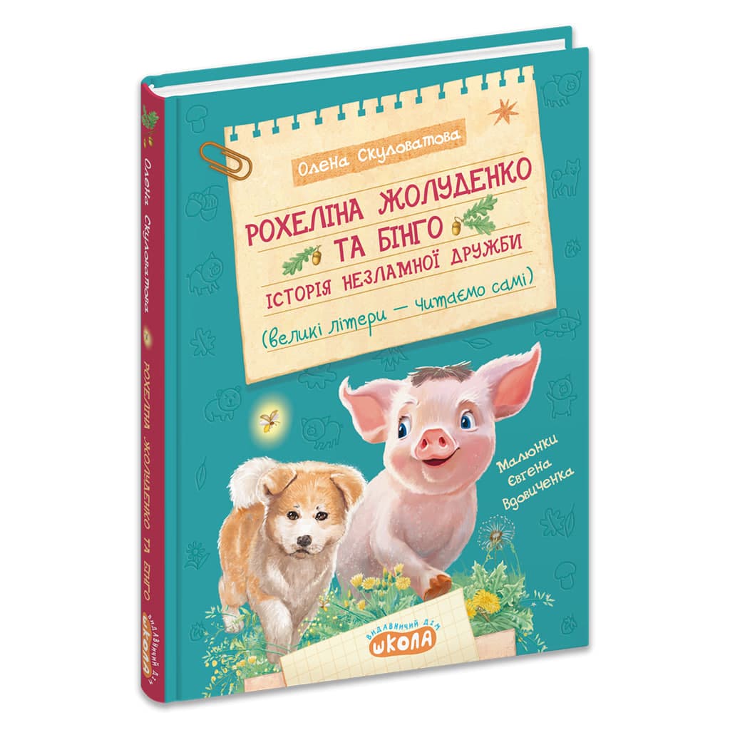 Книжка А5 "Рохеліна Жолуденко та Бінго. Моя перша бібліотечка" В.Нестайко /Школа/(10)