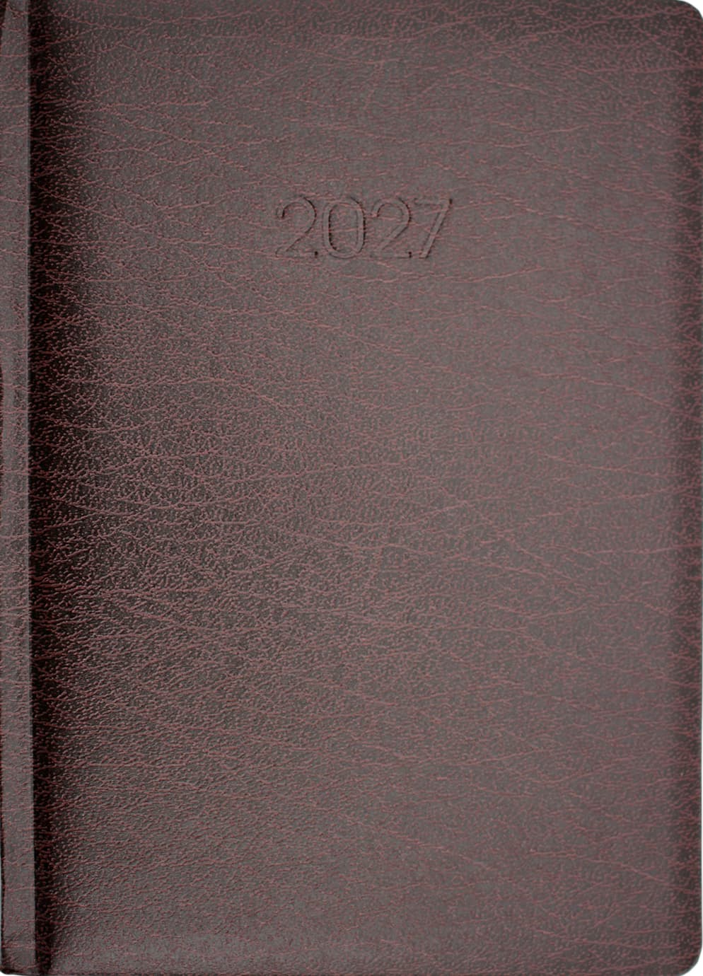 Щоденник А5 Economix датований 2025 Стиль коричневий E21636-07