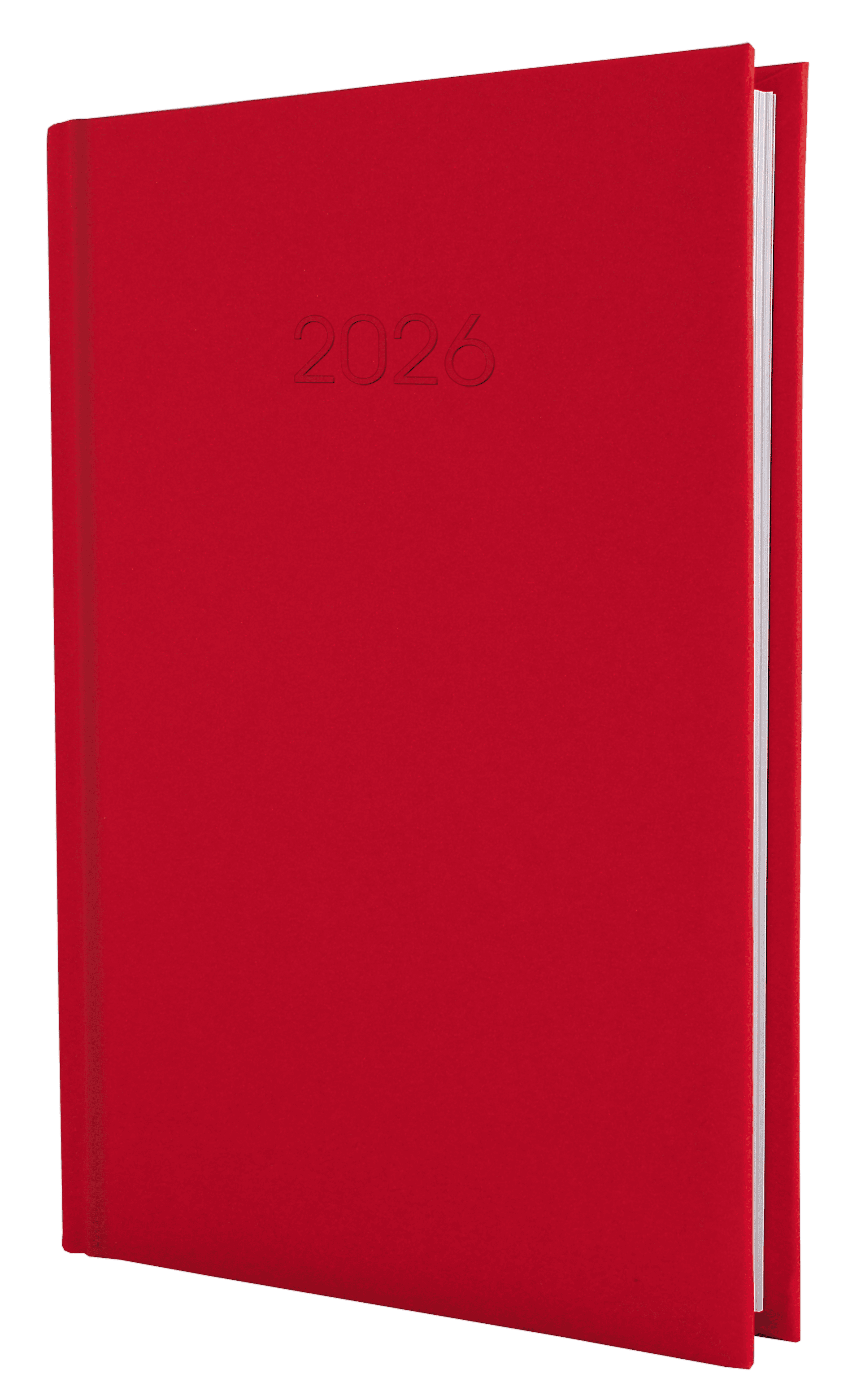 Ежедневник A5 Economix датированный 2025 Satin красный E21612-03  