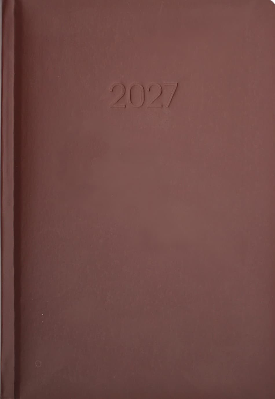 Ежедневник A5 Economix датированный 2025 Satin коричневый E21612-07  