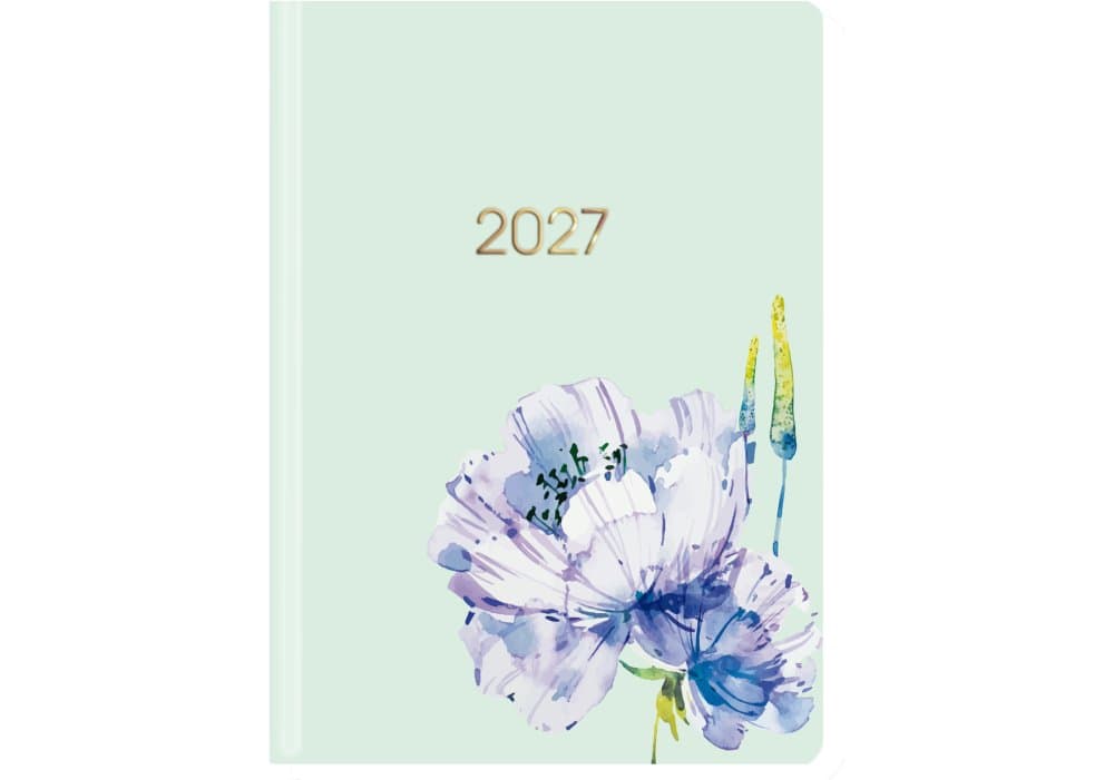 Щоден. А5 "Economix" дат2027 №E21852(20)