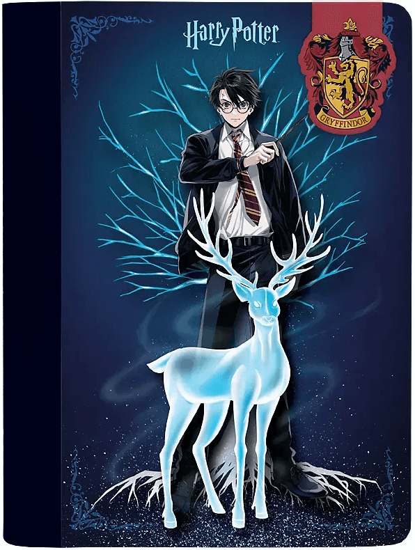 Блокнот А5 60арк. кліт. тв. обкл. Harry Potter з магнітною закладкою №HP25-192/Kite/(20)(40)