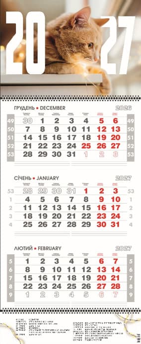Календар кварт. настін. "Котик" 2027, 3 пружини
