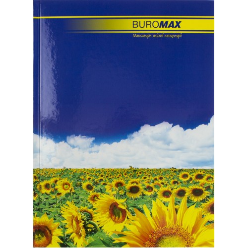 Книга-канцелярская А4 96 листов клетка Buromax офсет твердая обложка (8) 2400
