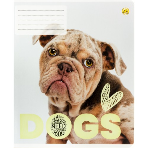  Тетрадь 12 листов линия ТВ Микс (25) (600) №ТЕ22108