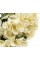 Букет "Гортензія" кремовий 45см №8722-038