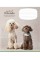 Зошит 12арк. кліт. Школярик Perfect friends 012-3250K(30)(300)