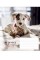 Зошит 12арк. кліт. Школярик Be joyful always ВД-лак 012-3263K(30)(300)