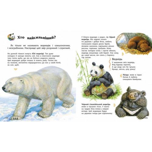 Книжка А5 "Несерійний : Енциклопедія дошкільника "/Ранок/