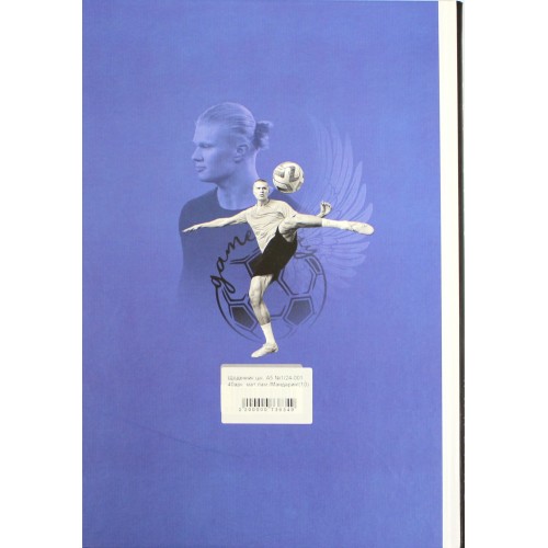 Щоденник шк. В5 №1/24-001 40арк. мат.лам./Мандарин/(10)