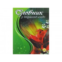 Тетрадь Словарь по иностранному языку Тетрада А5 80 листов (20) 0619