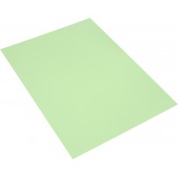 Бумага цветная А4 80 г/м пастель Spectra Сolor 190 Green зеленая (10)