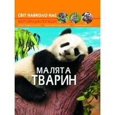 Книжка А4 Світ навколо нас. Малята тварин тверда обкладинка Бао (10) 9499