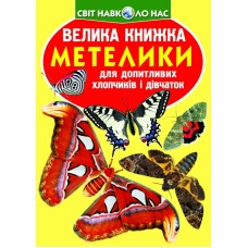 Книга В4 Большая книга. Бабочки мягкая обложка / Бао / 7754