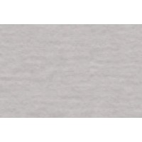 Бумага для пастели Tiziano А4 26 perla 21х29,7см 160г/м2, перламутровая (10) 16F4126