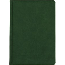 Щоден. A5 Economix недат. Vivella зелений 22034-04(20)