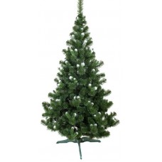 Елка Карпатская 220 см