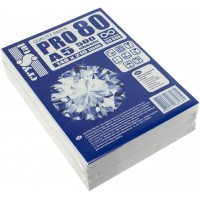 Бумага для офисной техники A5 Crystal Pro 80г/м2 С 500 листов (10)