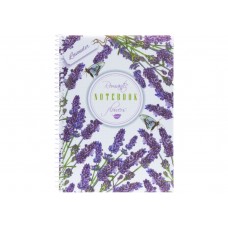 Блокнот на пружине A5 80 листов клетка пластиковая обложка Economix Spring Mood: Sun (8) (48) E21952-01
