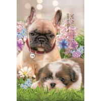  Дневник школьный 2022 B5 40 листов матовая ламинация Мандарин (10) №2238